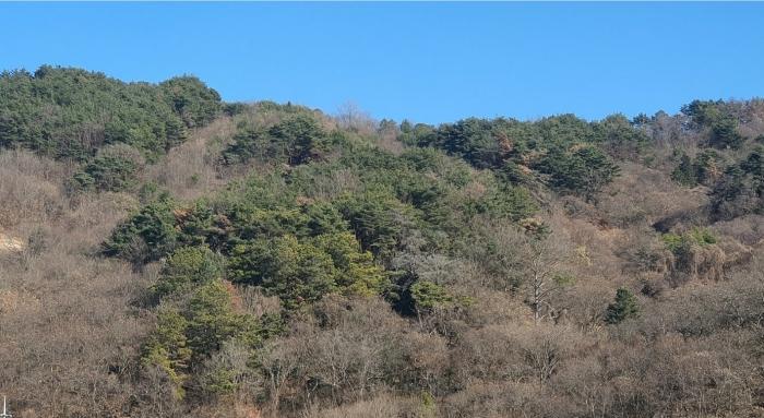 경남 하동군 적량면 관리 202-1 답 사진 2