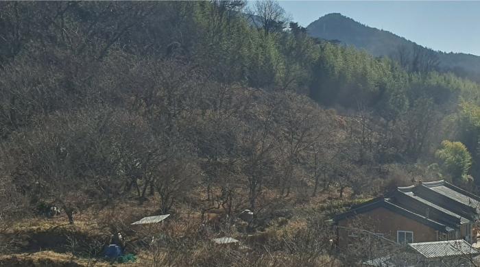 경남 하동군 적량면 관리 202-1 답 사진 4