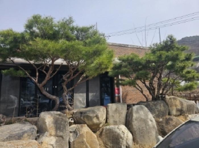 2024타경1391 법원경매 사진45 | 충북 단양군 주택건물 경매