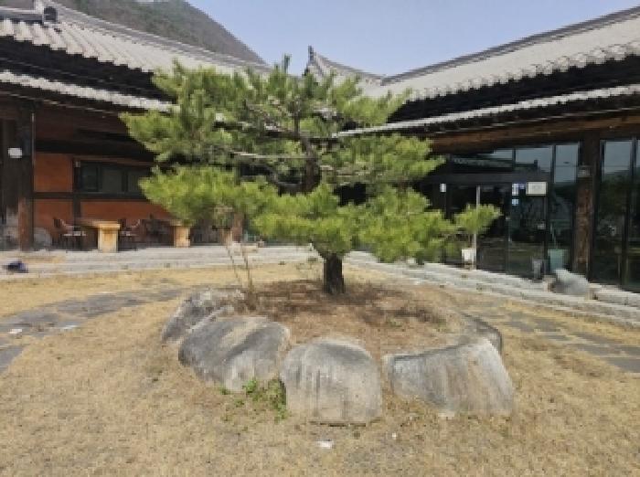 2024타경1391 법원경매 사진46 | 충북 단양군 주택건물 경매
