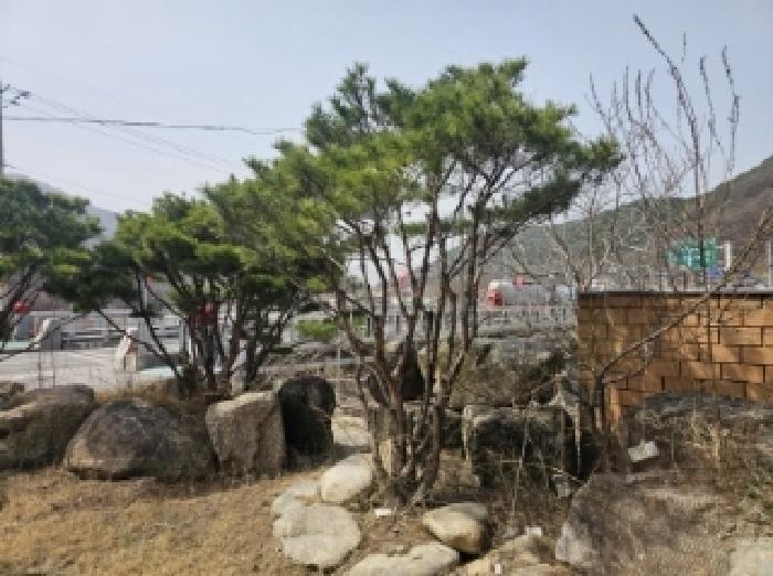 2024타경1391 법원경매 사진49 | 충북 단양군 주택건물 경매