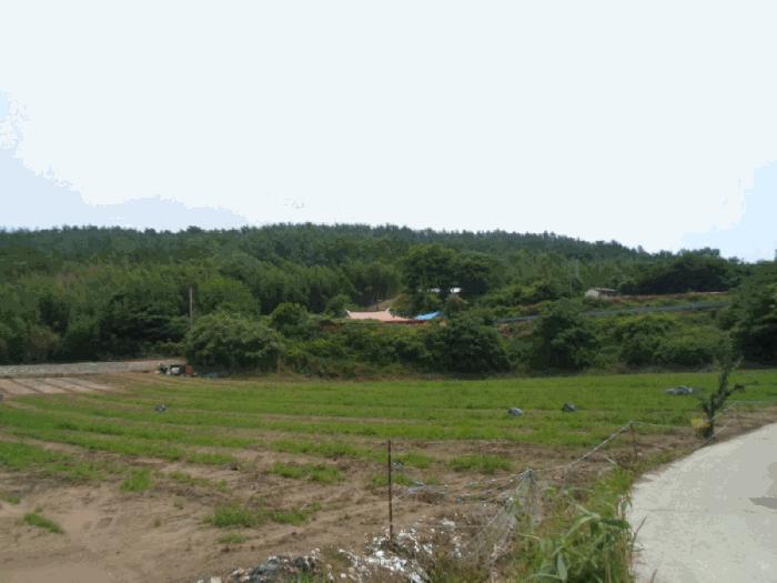 2025타경50484 법원경매 사진4 | 전남 해남군 임야 경매