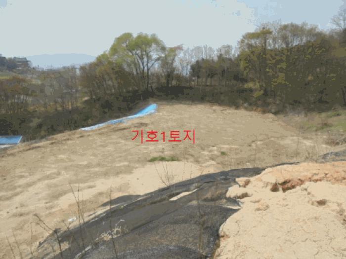 2025타경99 법원경매 사진2 | 충북 제천시 임야 경매
