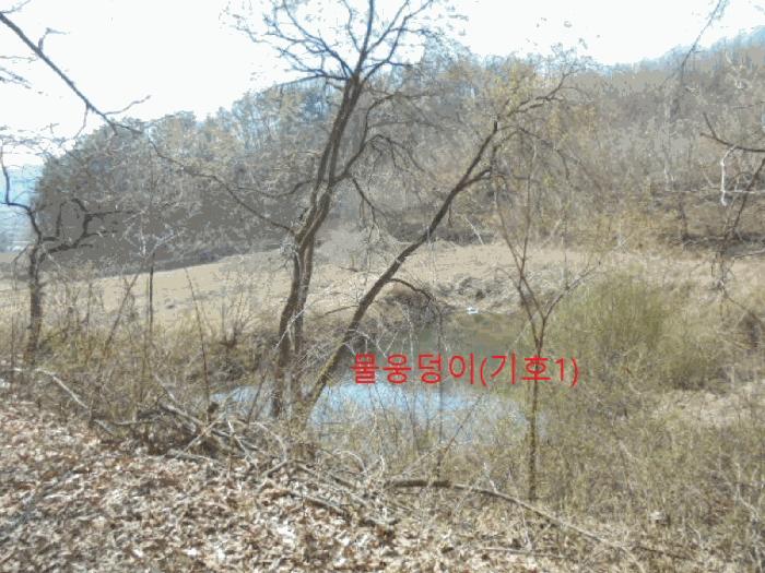2025타경5283 법원경매 사진2 | 충북 제천시 전 경매