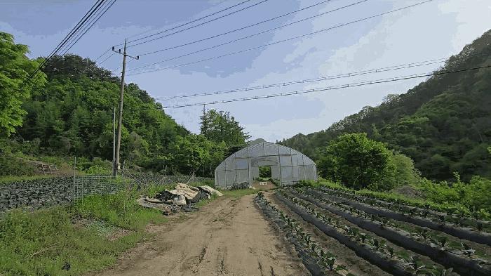 2025타경5301 법원경매 사진2 | 충북 제천시 전 경매