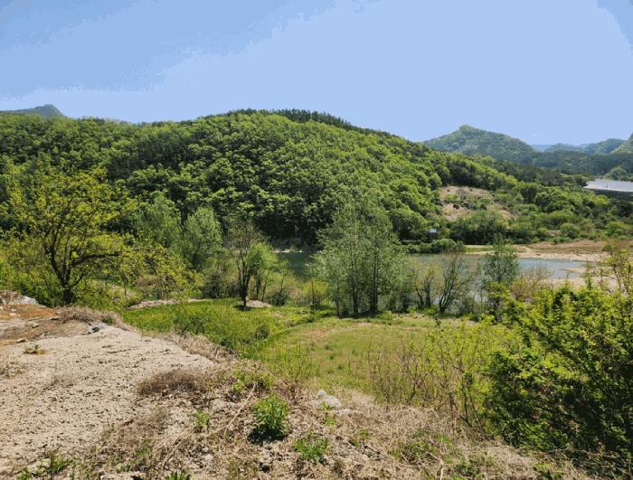 2025타경5307 법원경매 사진3 | 충북 단양군 전 경매