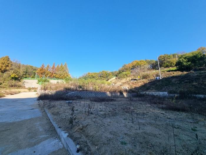 경상북도 안동시 안막동 14-1 법원경매 물건 대표사진