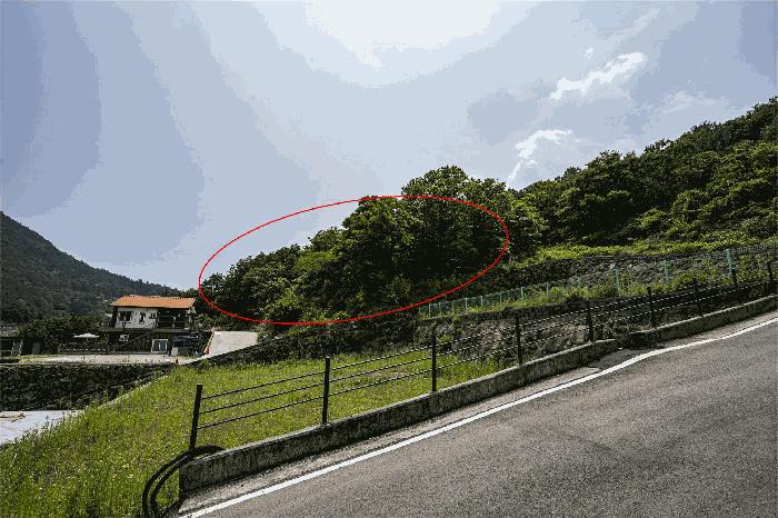 2025타경51539 법원경매 사진4 | 전남 순천시 임야 경매