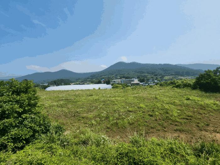 2025타경51653 법원경매 사진2 | 전남 고흥군 대지 경매