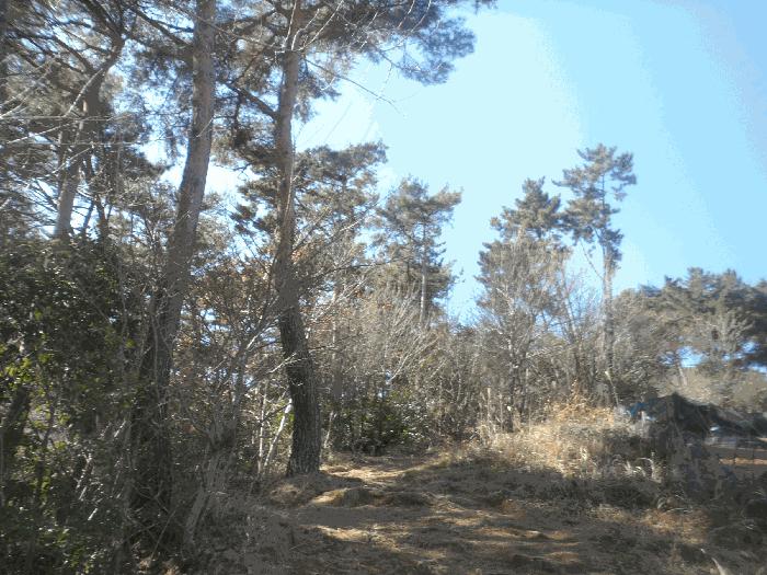 경남 통영시 북신동 309-2 임야 경매 물건 사진