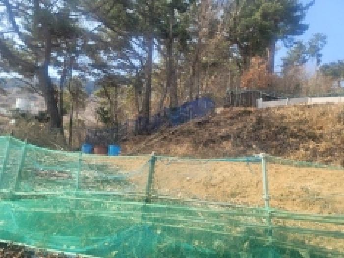 2025타경206 법원경매 사진12 | 경남 통영시 임야 경매