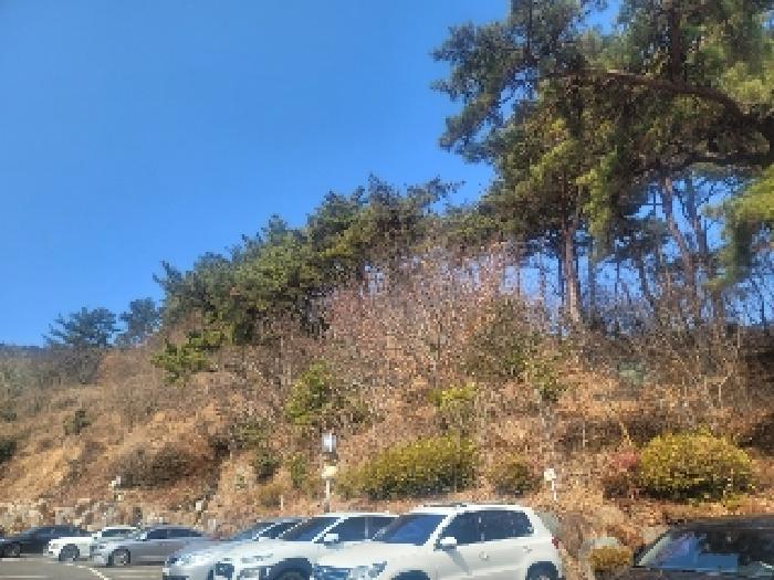 2025타경206 법원경매 사진13 | 경남 통영시 임야 경매