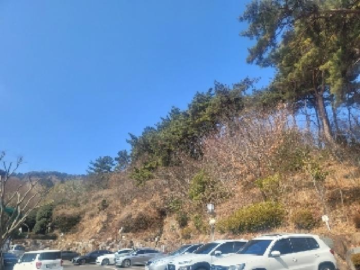 2025타경206 법원경매 사진14 | 경남 통영시 임야 경매