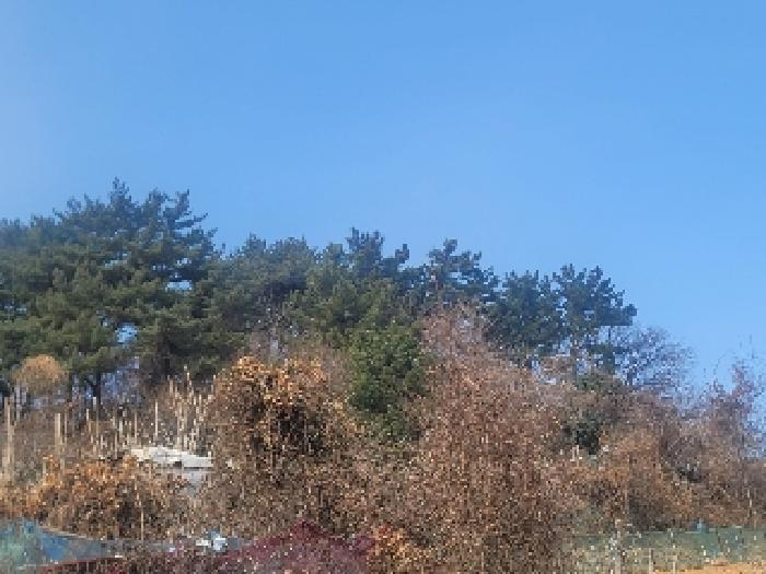 2025타경206 법원경매 사진15 | 경남 통영시 임야 경매
