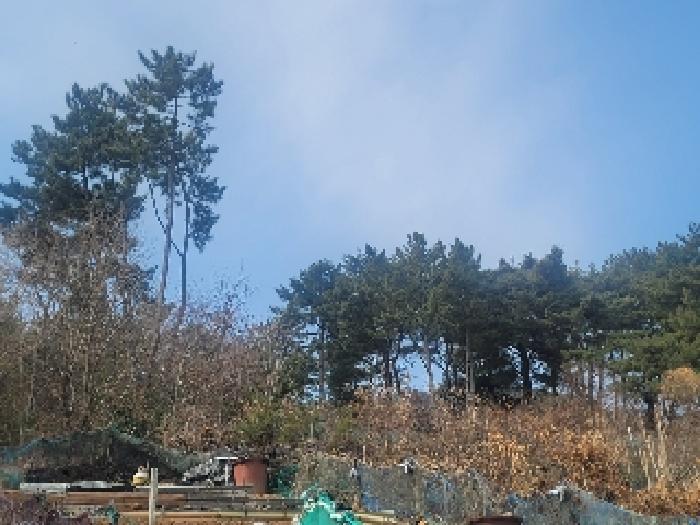 2025타경206 법원경매 사진16 | 경남 통영시 임야 경매