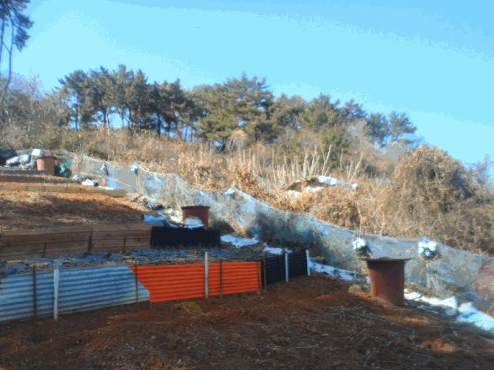 경남 통영시 북신동 309-2 임야 사진 4