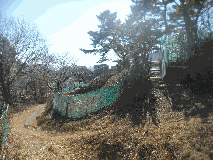 경남 통영시 북신동 309-2 임야 사진 5