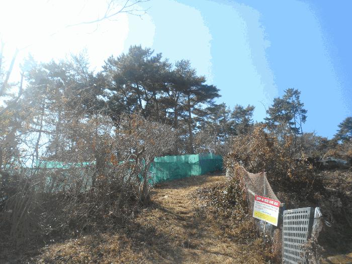 경남 통영시 북신동 309-2 임야 사진 6
