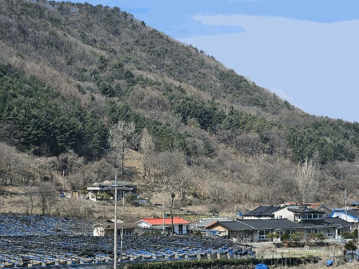 2025타경655 법원경매 사진3 | 충남 금산군 임야 경매