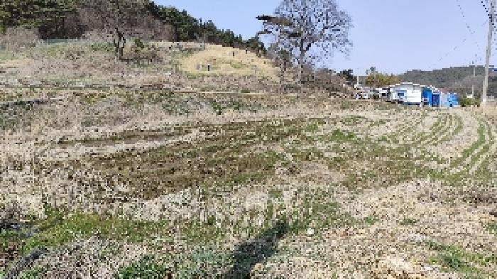 2025타경15597 법원경매 사진3 | 충남 보령시 답 경매
