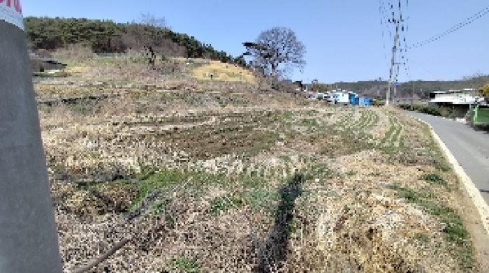 2025타경15597 법원경매 사진4 | 충남 보령시 답 경매