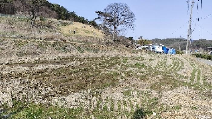 2025타경15597 법원경매 사진5 | 충남 보령시 답 경매