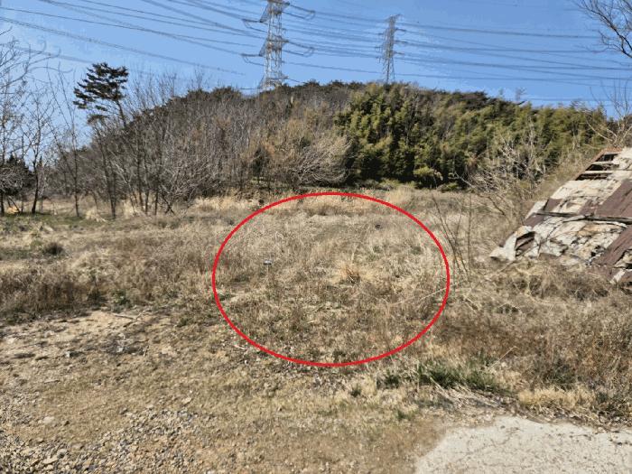 법원경매 2025타경580 사진2 | 당진시 석문면 교로리 847-28 대지 경매