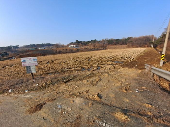 법원경매 2025타경51062 사진3 | 당진시 송악읍 한진리 166-2 답 경매