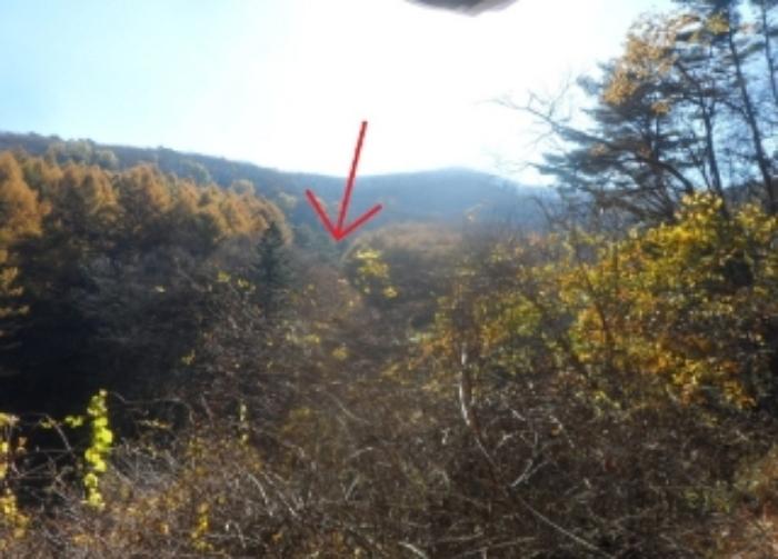 법원경매 2024타경32738 사진5 | 평창군 대관령면 용산리 584-45 임야 경매