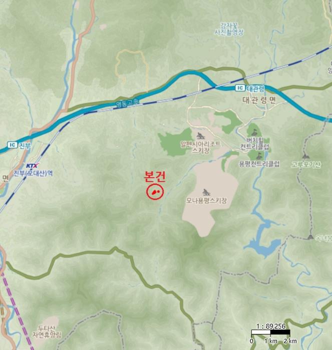 법원경매 2024타경32738 사진7 | 평창군 대관령면 용산리 584-45 임야 경매