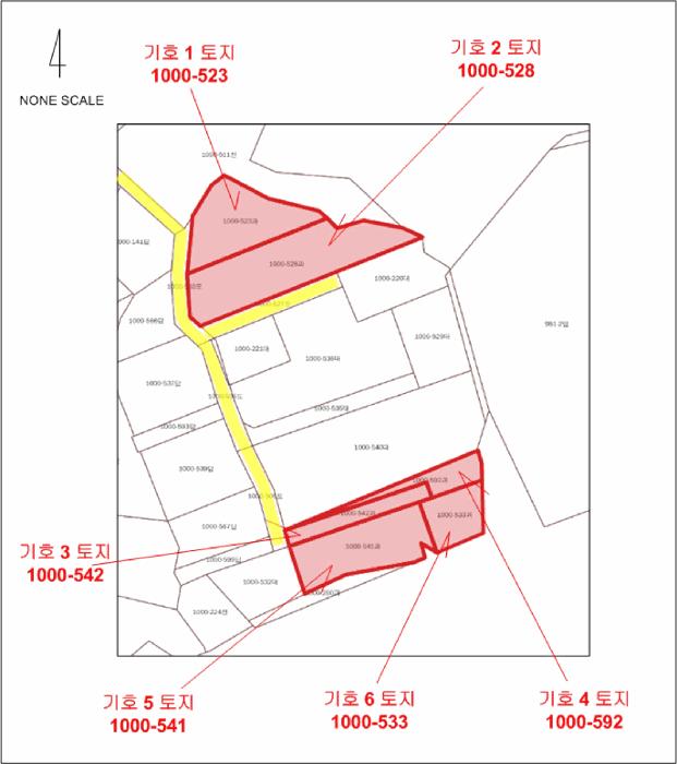 법원경매 2025타경10255 사진9 | 속초시 노학동 1000-542 과수원 경매