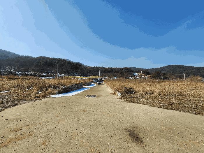 2025타경50493 법원경매 사진4 | 청주 청원구 답 경매
