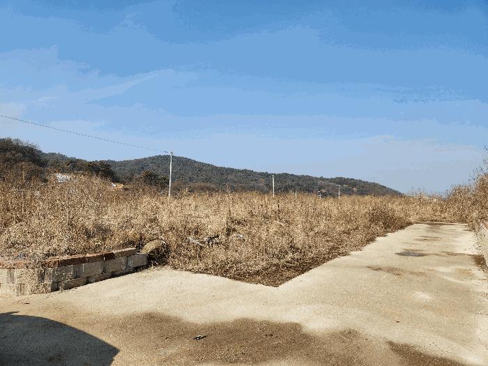 2025타경50493 법원경매 사진6 | 청주 청원구 답 경매