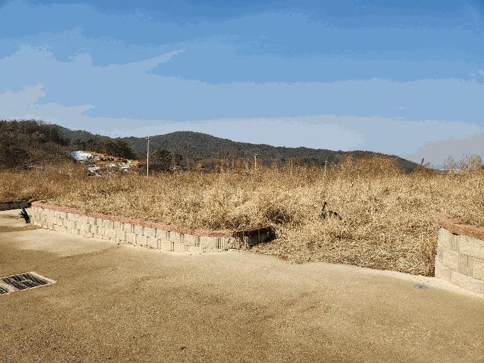 2025타경50493 법원경매 사진8 | 청주 청원구 답 경매