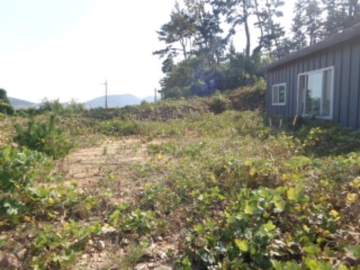 2024타경4402 법원경매 사진28 | 충남 태안군 전 경매