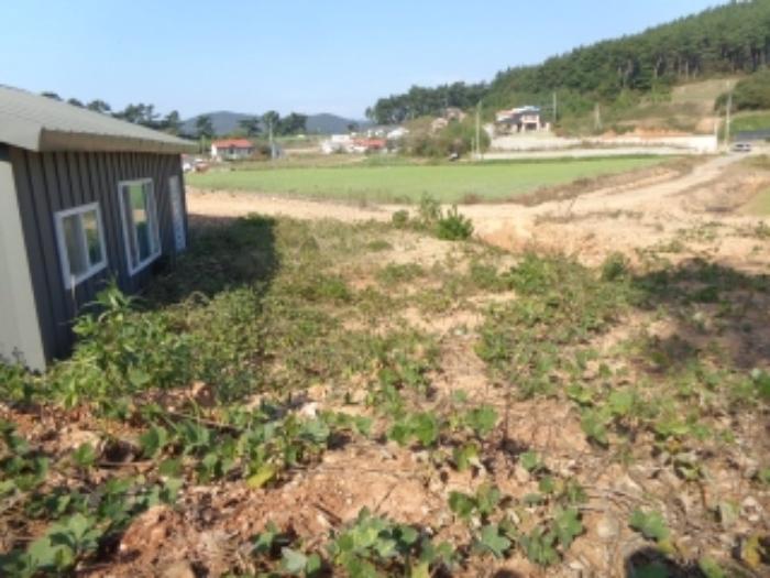 2024타경4402 법원경매 사진29 | 충남 태안군 전 경매