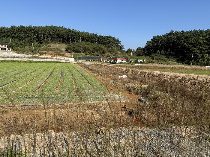 2024타경4402 법원경매 사진9 | 충남 태안군 전 경매