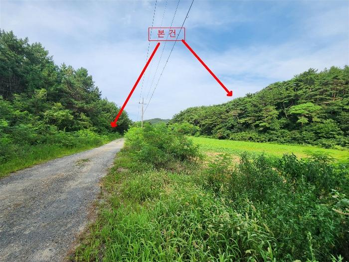 2024타경50139 법원경매 사진2 | 충남 태안군 임야 경매
