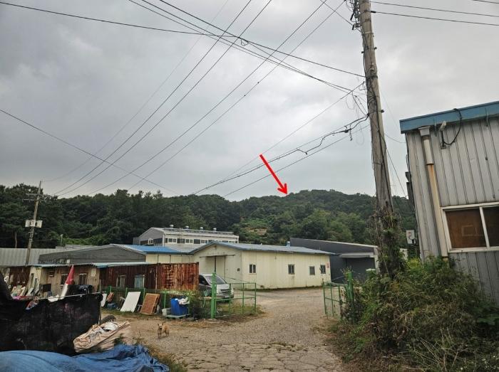 법원경매 2024타경6690 사진2 | 파주시 광탄면 분수리 임야 경매