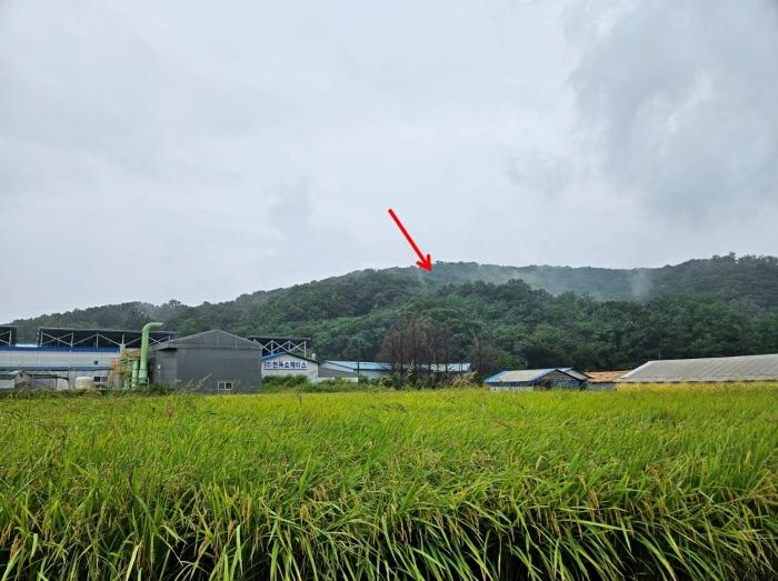 법원경매 2024타경6690 사진3 | 파주시 광탄면 분수리 임야 경매
