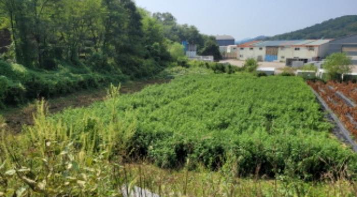 법원경매 2024타경48471 사진7 | 김포시 월곶면 갈산리 71-2 답 경매