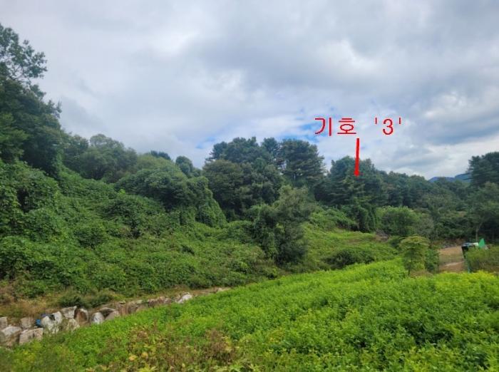 법원경매 2024타경83148 사진6 | 가평군 상면 항사리 임야 경매