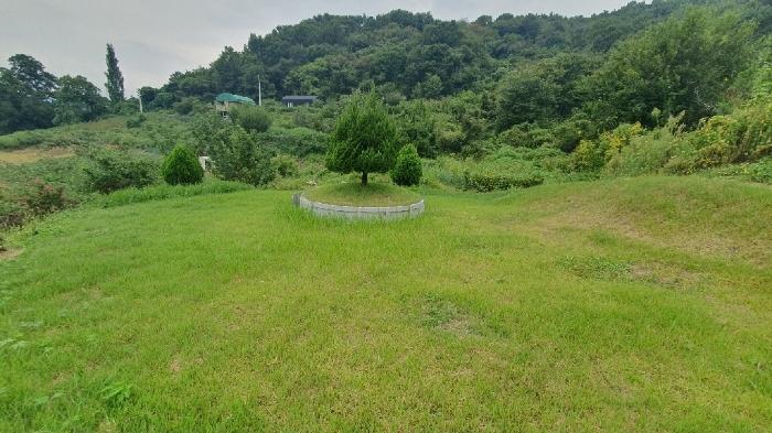 2024타경2407 법원경매 사진3 | 경남 함안군 묘지 경매