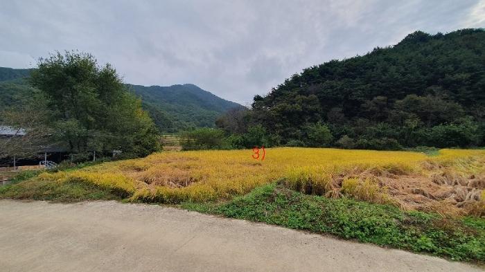 경남 의령군 대의면 중촌리 387 답 사진 3