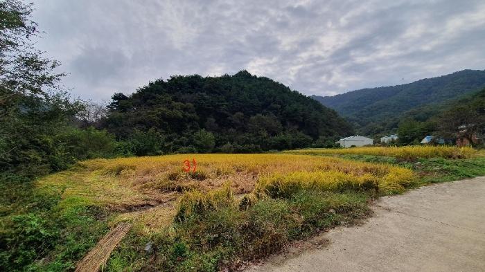 경남 의령군 대의면 중촌리 387 답 사진 4