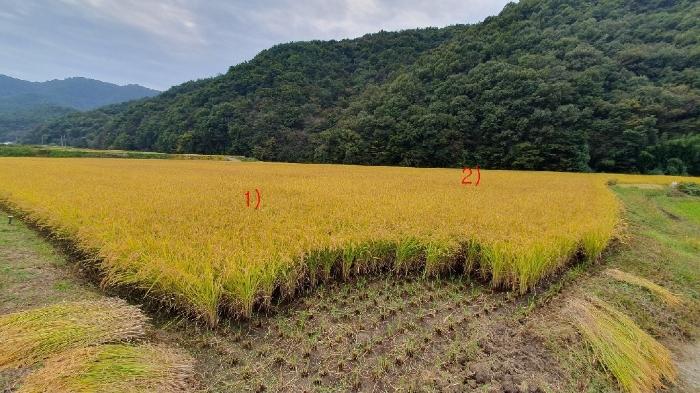 경상남도 의령군 대의면 중촌리 523 법원경매 물건 대표사진
