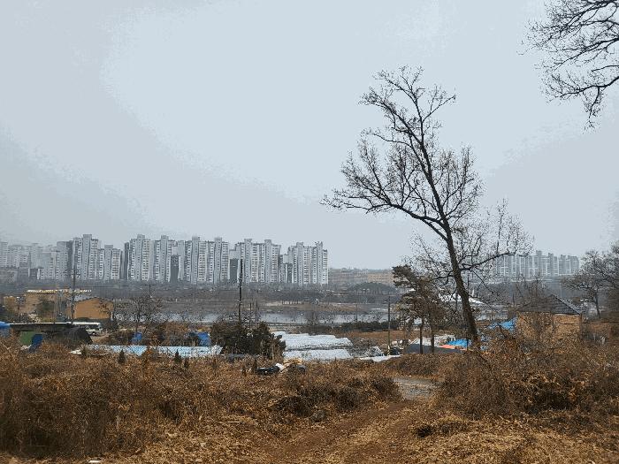 2025타경507302 법원경매 사진4 | 인천 서구 임야 경매