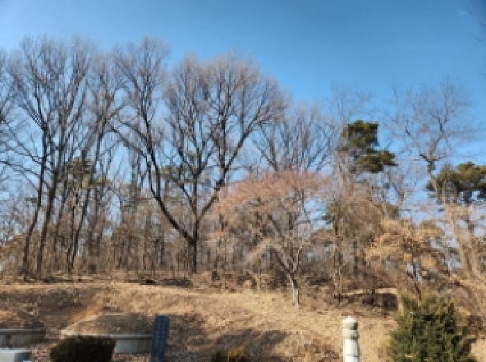 2025타경507302 법원경매 사진7 | 인천 서구 임야 경매