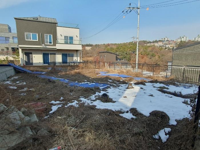 법원경매 2024타경99091 사진2 | 화성시 남양읍 활초리 230-98 도로 경매