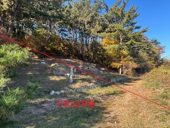 법원경매 2024타경6590 사진5 | 부산 기장군 일광읍 과수원 경매